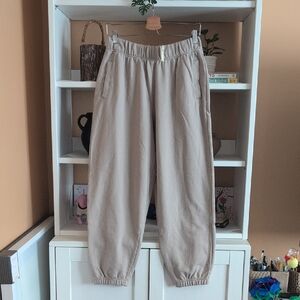 Aerie Jet Setter Jogger